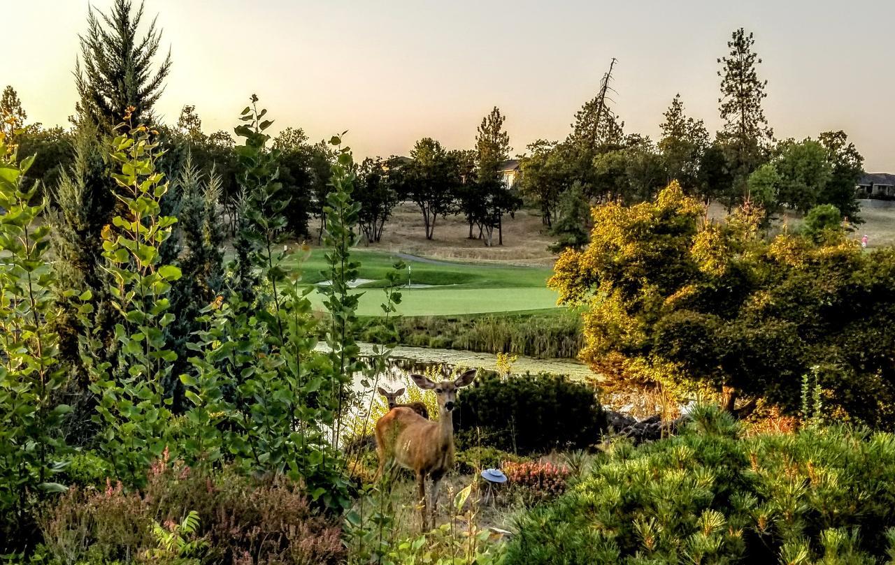 Resort At Eagle Point Golf Club Lodging Zewnętrze zdjęcie